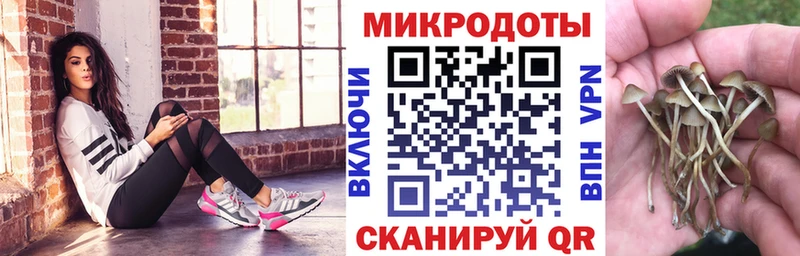 mega онион  Торжок  Галлюциногенные грибы Psilocybe  продажа наркотиков 